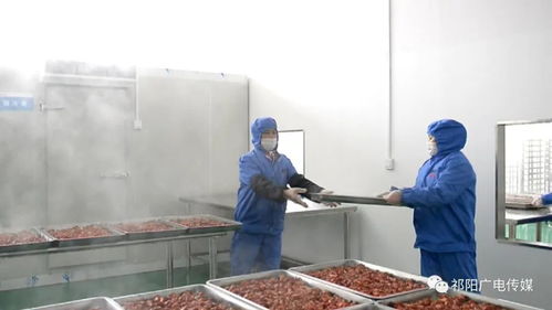 和順新 防疫措施好 復產信心足