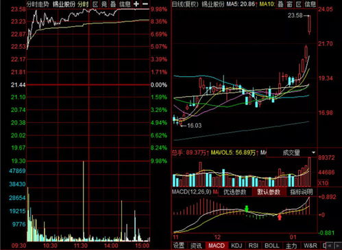 報復性反彈出現